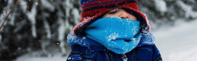 В Эстонии — до 20 градусов мороза. Отменят ли уроки в школах?