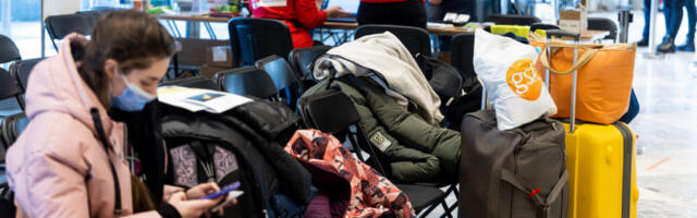 Литва приняла уже более 30 000 украинских беженцев