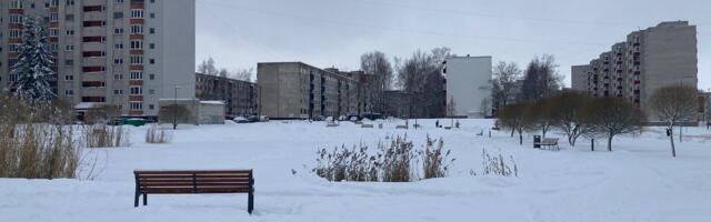 Парк «народной инициативы» открылся незаметно для горожан