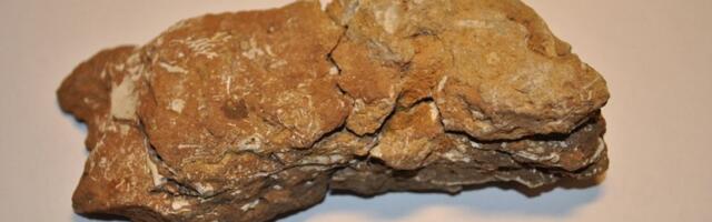 Вячеслав Иванов: Была когда-то такая газета — «За сланец!»…