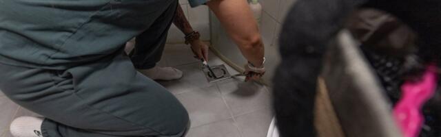 Ремонт как индекс потребительской уверенности: в каких регионах Эстонии он выше?