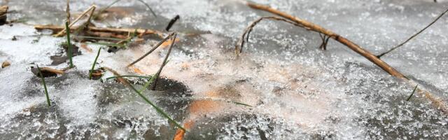 С 30 декабря запрещён выход на хрупкий лёд приграничных водоёмов