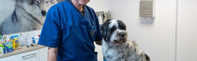 Известный ветеринар столкнулся с тяжелым диагнозом: „Работа дает мне чувство, что я нужен питомцам и их хозяевам“