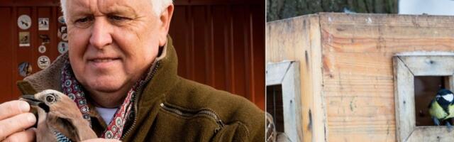 Натуралист рассказал, надо ли кормить птиц зимой  