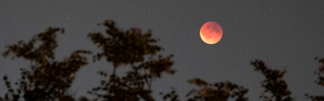 В воскресенье в Эстонии можно было увидеть лунное затмение