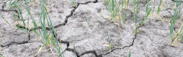 ООН: земной климат вышел из состояния равновесия