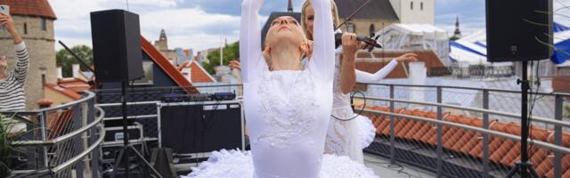 ГАЛЕРЕЯ: в Толстой Маргарите открылась выставка COCOON о хрупкости мира