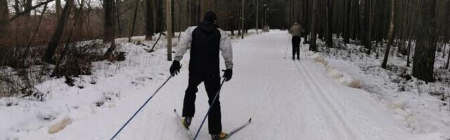 "AK.Nädal": в зимний сезон лыжники и просто гуляющие люди не могут поделить тропы здоровья
