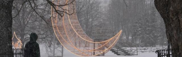 Уровень зарегистрированной безработицы в Латвии — 5%