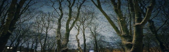 Сказочная чаща Силламяэ