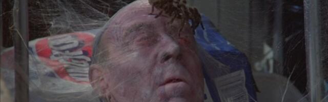 Правдива ли история про немца, умершего после укуса чёрной вдовы и изъеденного пауками, ящерицами и другими животными?