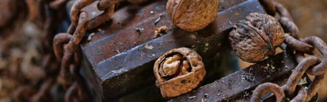 Вместо заморского принца - сертификаты: эстонских бизнесменов подстерегают сомнительные партнеры