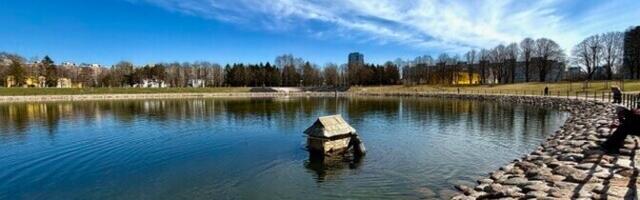 На столичном пруду Ыйсмяэ установлены необычные птичьи домики