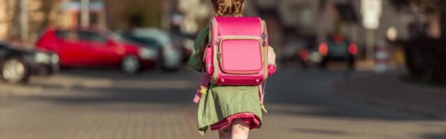 Таллинн дал разрешение продолжить преподавание на русском в некоторых классах школы — нет учителей. Яшин: „Найдем в любом случае“