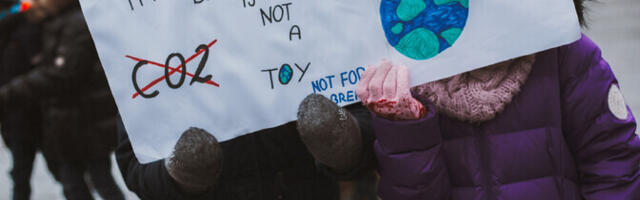 Экоактивистам не удалось в окружном суде помешать запуску нового завода по производству масел