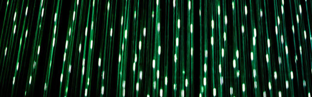 В ходе международной полицейской операции пресечена деятельность организаторов DDoS-атак