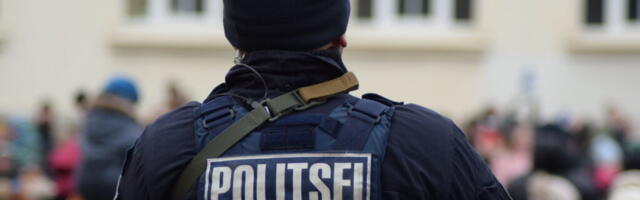 В Эстонии наблюдается острая нехватка патрульных полицейских