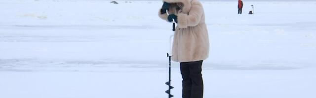 Морозная погода обещает продолжительный сезон зимней рыбалки на Чудском озере