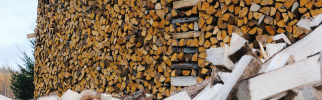 В Эстонии возник дефицит сухих дров
