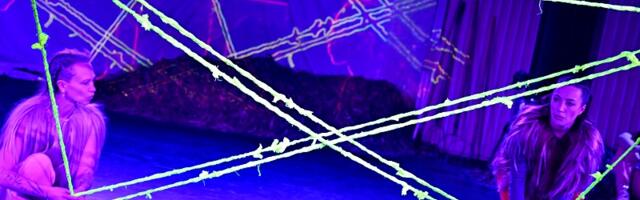 «Космодельфины» Светы Григорьевой в Театре Сюдалинна: интеграция в «других измерениях»