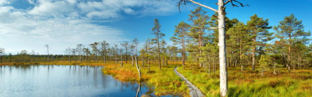 Отмечаем День природы Эстонии 14 августа