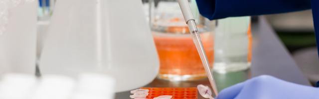 Обнаружена новая мутировавшая форма коронавируса