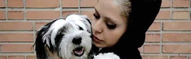 В Иране вводят запрет на выгул собак и приравнивают это к преступлению