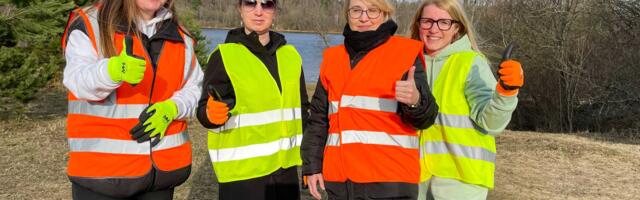 Нарвских волонтеров, которые помогают лягушкам перейти дорогу, становится больше. Некоторые берут с собой детей