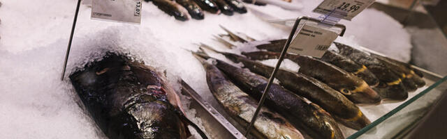 Кампанию, побуждающую есть рыбу, хотят организовать 13 предприятий