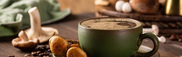 Грибной кофе: что это, польза и вред для здоровья, противопоказания, рецепт