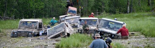 Воскресный антидепрессант Любиной: Молодо, да не зелено