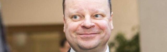 Глава Сейма Сквернялис: За нелояльными к Литве политиками наблюдают, будут результаты