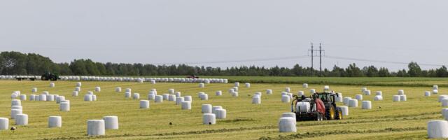 В этом году в сельском и лесном хозяйстве было взято в кредит в 2,4 раза больше, чем в прошлом году