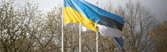 В Украине погиб еще один эстонский доброволец