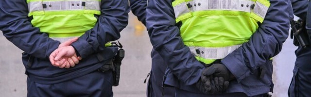 В Ласнамяэ 70-летний голый мужчина с ножом пытался напасть на полицейских