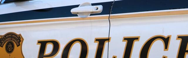 Автомобиль врезался в толпу в Лос-Анджелесе: 20 пострадавших