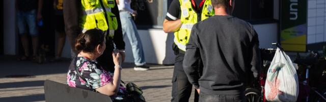 Ласнамяэ снова будут патрулировать охранники