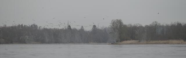 В реке Пярну утонул пожилой мужчина