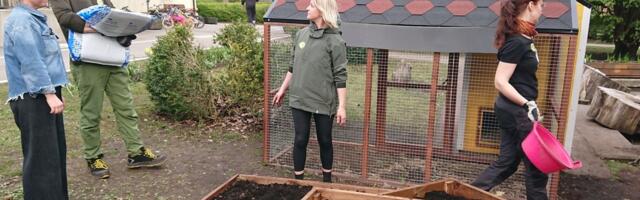 В Эстонии запустили инициативу школьных толок по поддержке психического здоровья