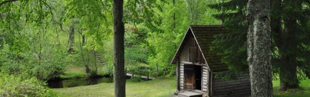 Учитель из Америки: „Эстония – это и есть американская мечта. Вот девять причин любить вашу страну“