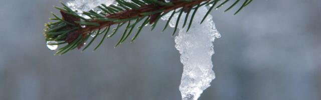 На этой неделе погода в Латвии будет переменчивой