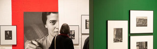 ФОТО: в Центре Юхана Кууса открылась выставка венгерских фотографов "Отражая человека"