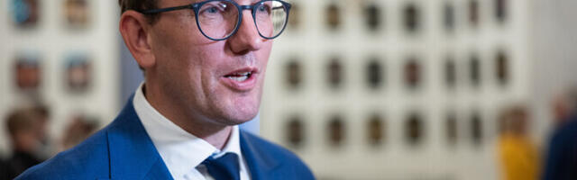 Премьер Эстонии напомнил о важности борьбы с семейным насилием