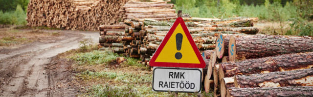 Вырубка лесов резко ускорилась в Эстонии и по всей Европе