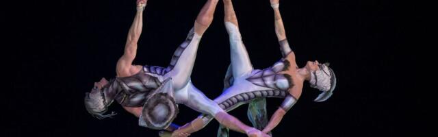 По просьбам зрителей Cirque du Soleil объявляет о дополнительном представлении OVO в Таллинне