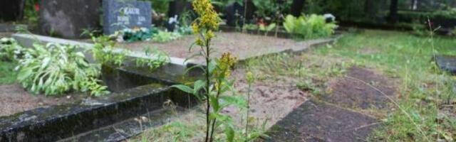 Isamaa и центристы хотят изменить правила пользования таллиннскими кладбищами