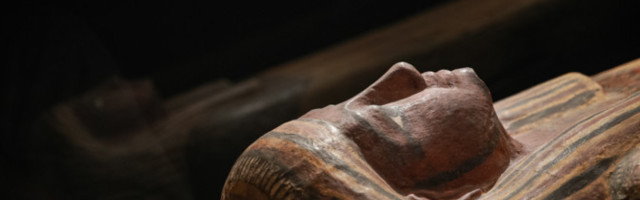 Неделя после открытия выставки о Древнем Египте в KUMU выдалась рекордной