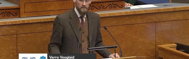 Vooglaid: demokraatiast ja kodanikuühiskonnast räägitakse Eestis ainult illusioonide loomiseks