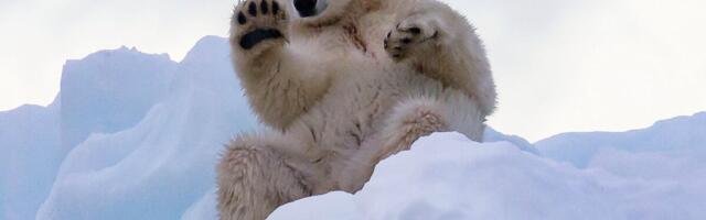 Райво Варе: политика Трампа знакома по временам СССР и Госплана