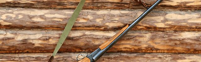 В Эстонии российские граждане и серопаспортники должны сдать оружие